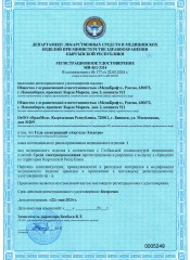 КыргызстанАкугельЭлектро2024-1.jpg